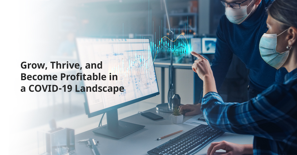 grow and become profitable AV company